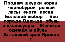 Продам шкурки норки, чернобурой, рыжей лисы, енота, песца. Большой выбор. - Все города Одежда, обувь и аксессуары » Женская одежда и обувь   . Алтайский край,Яровое г.